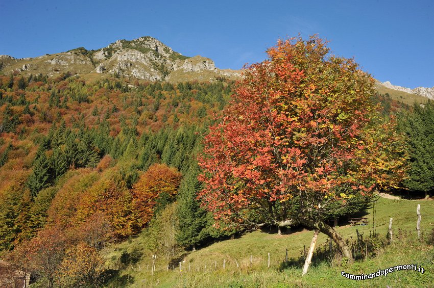 011 Val Vedra.JPG